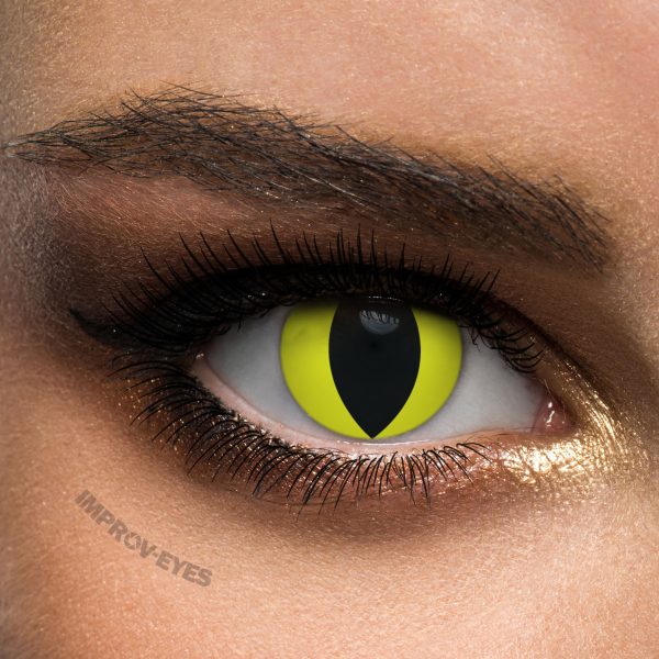 Feline Yellow